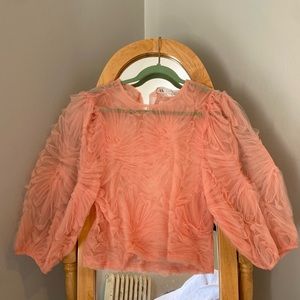Zara pink tulle top (sheer)